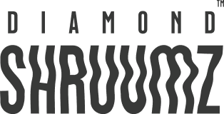 shruumz-header-logo.png